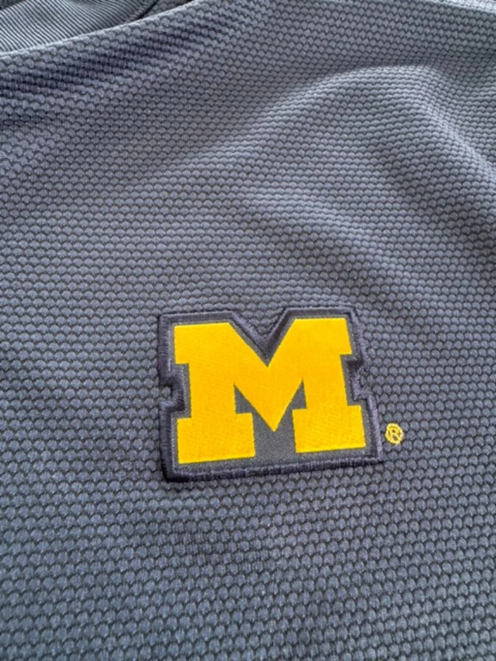 Jordan brand michigan